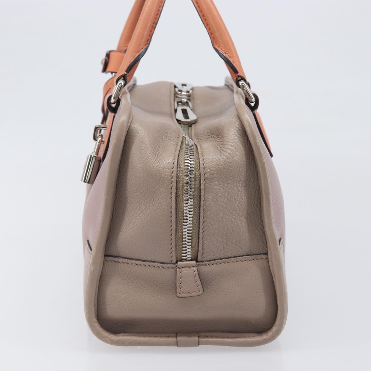 LOEWE Amazona 28 Hand Bag Leather Pink Silver Auth 200805V