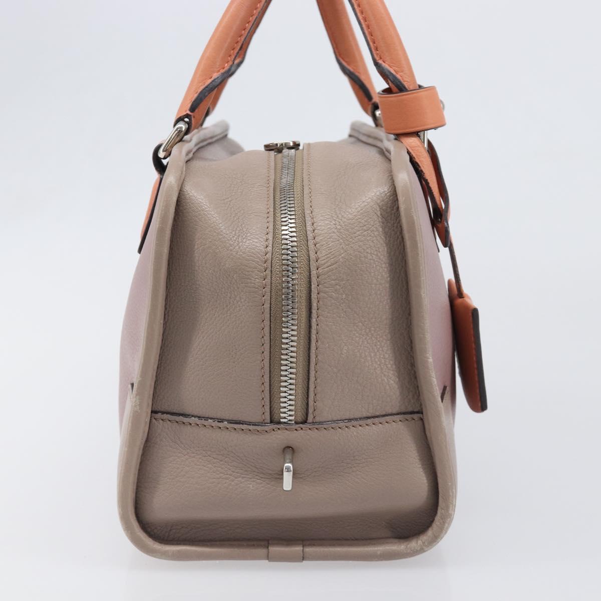 LOEWE Amazona 28 Hand Bag Leather Pink Silver Auth 200805V