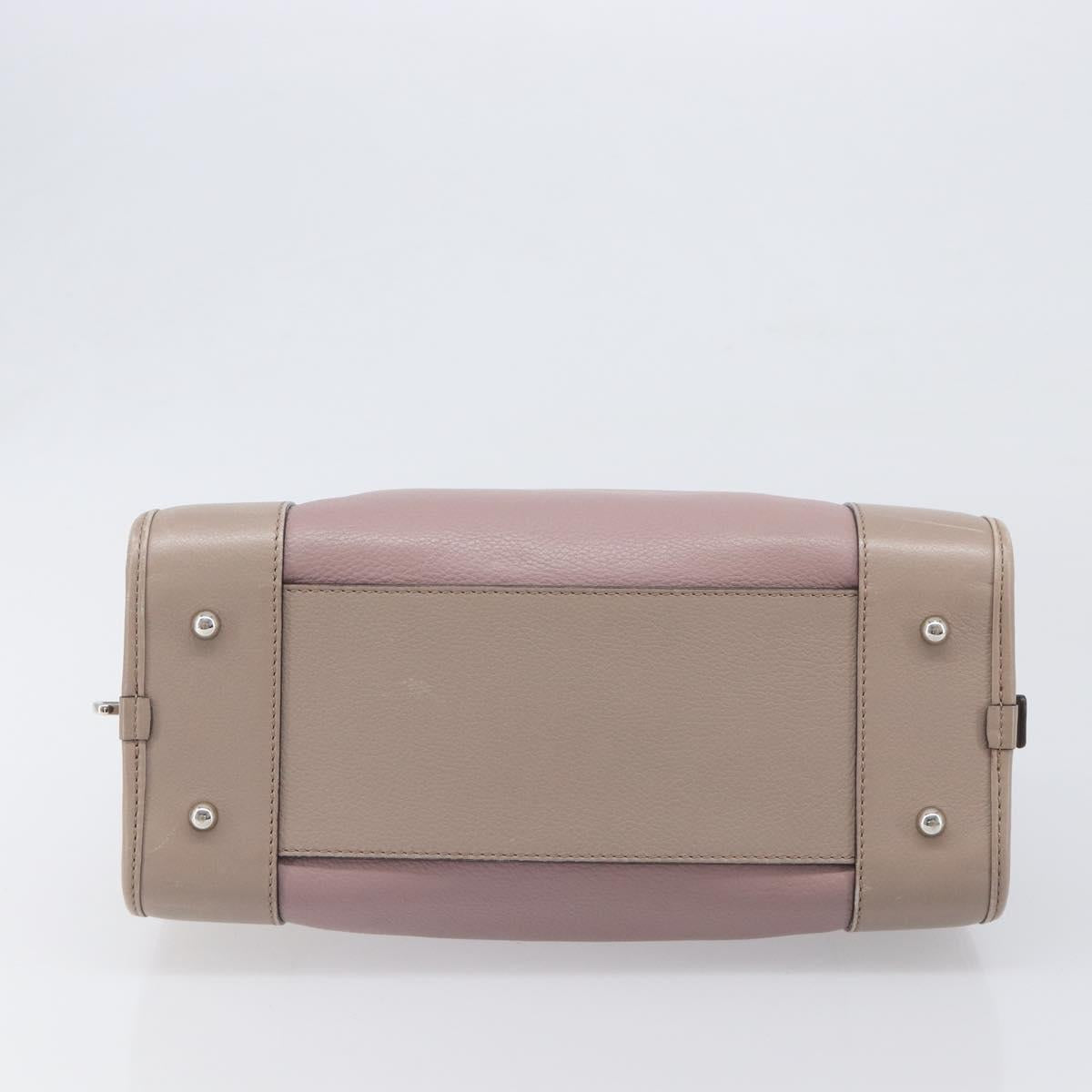 LOEWE Amazona 28 Hand Bag Leather Pink Silver Auth 200805V