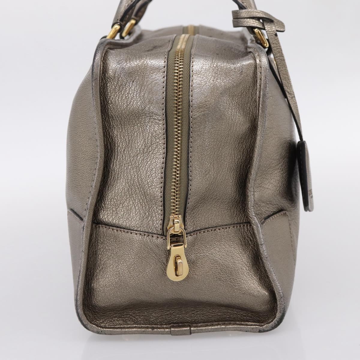 LOEWE Amazona 36 Hand Bag Leather Gold Silver Auth 200941
