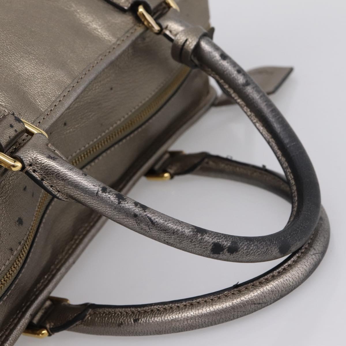 LOEWE Amazona 36 Hand Bag Leather Gold Silver Auth 200941