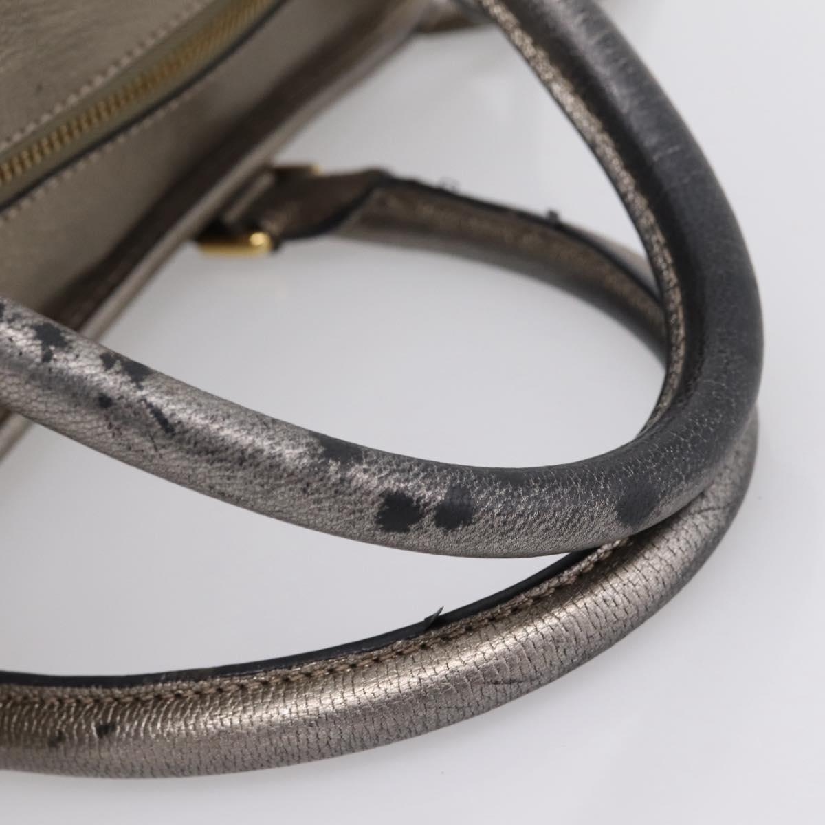 LOEWE Amazona 36 Hand Bag Leather Gold Silver Auth 200941