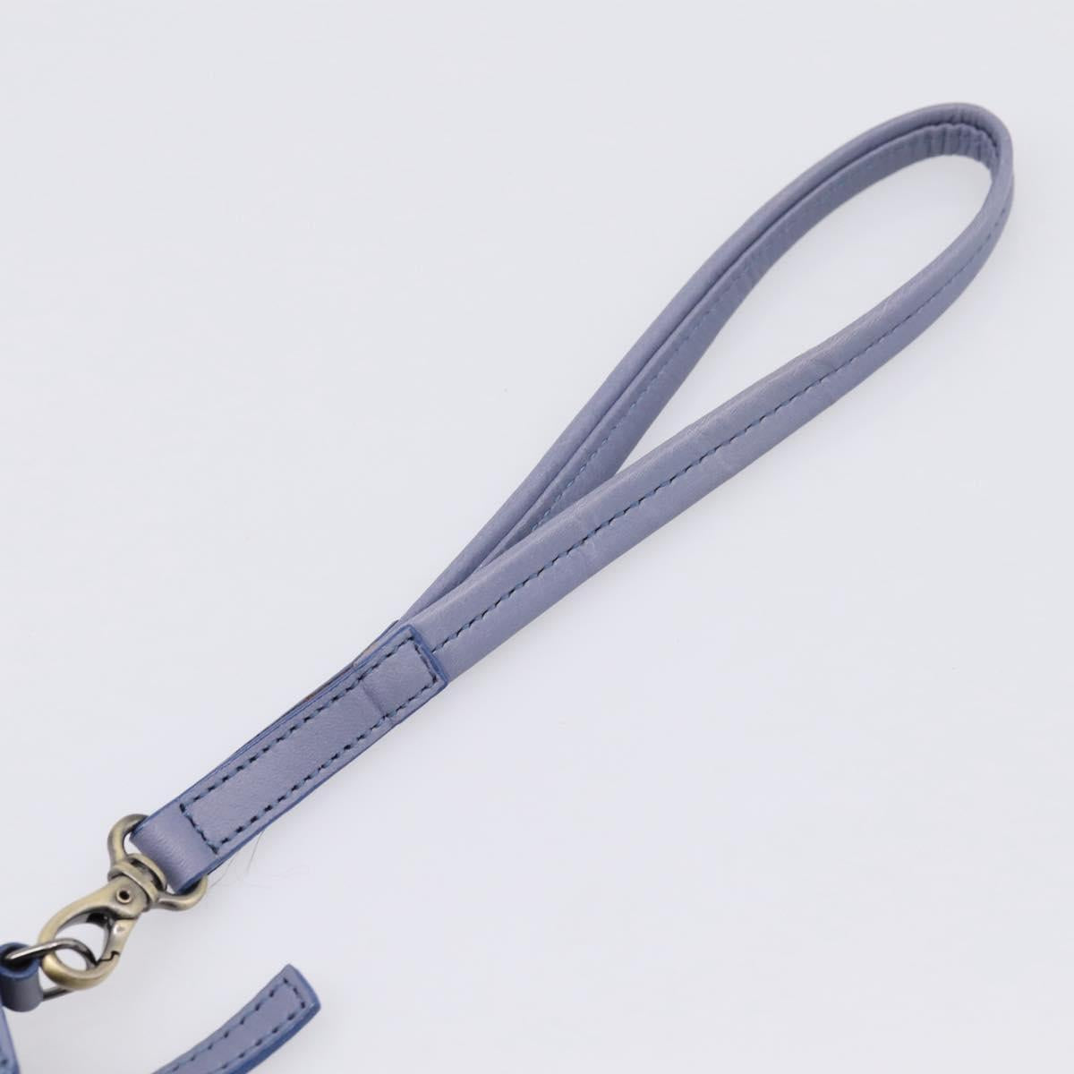 Chloe Clutch Bag Leather Light Blue Gold Auth 201007A