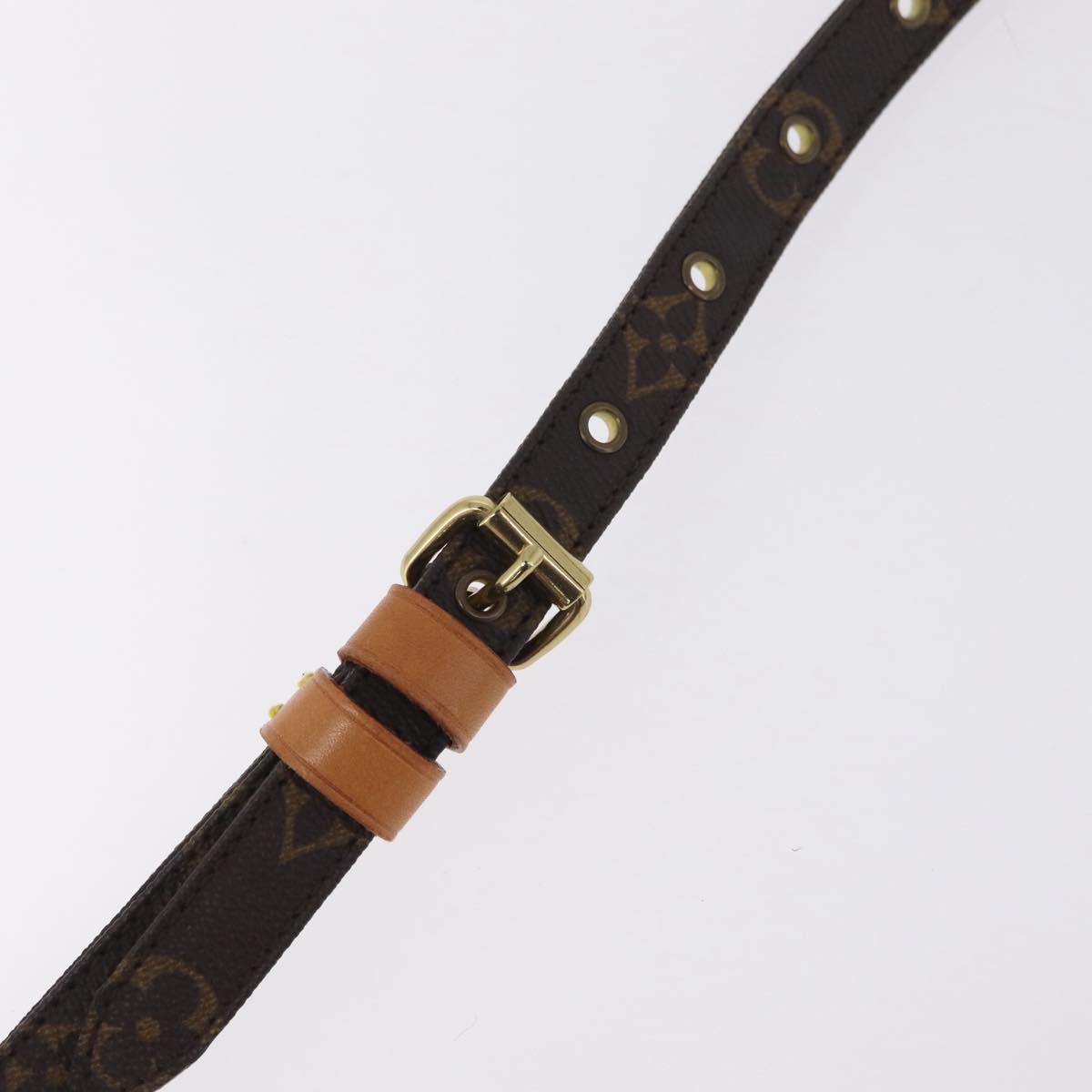 LOUIS VUITTON Monogram Danube Shoulder Bag M45266 LV Auth 201170A
