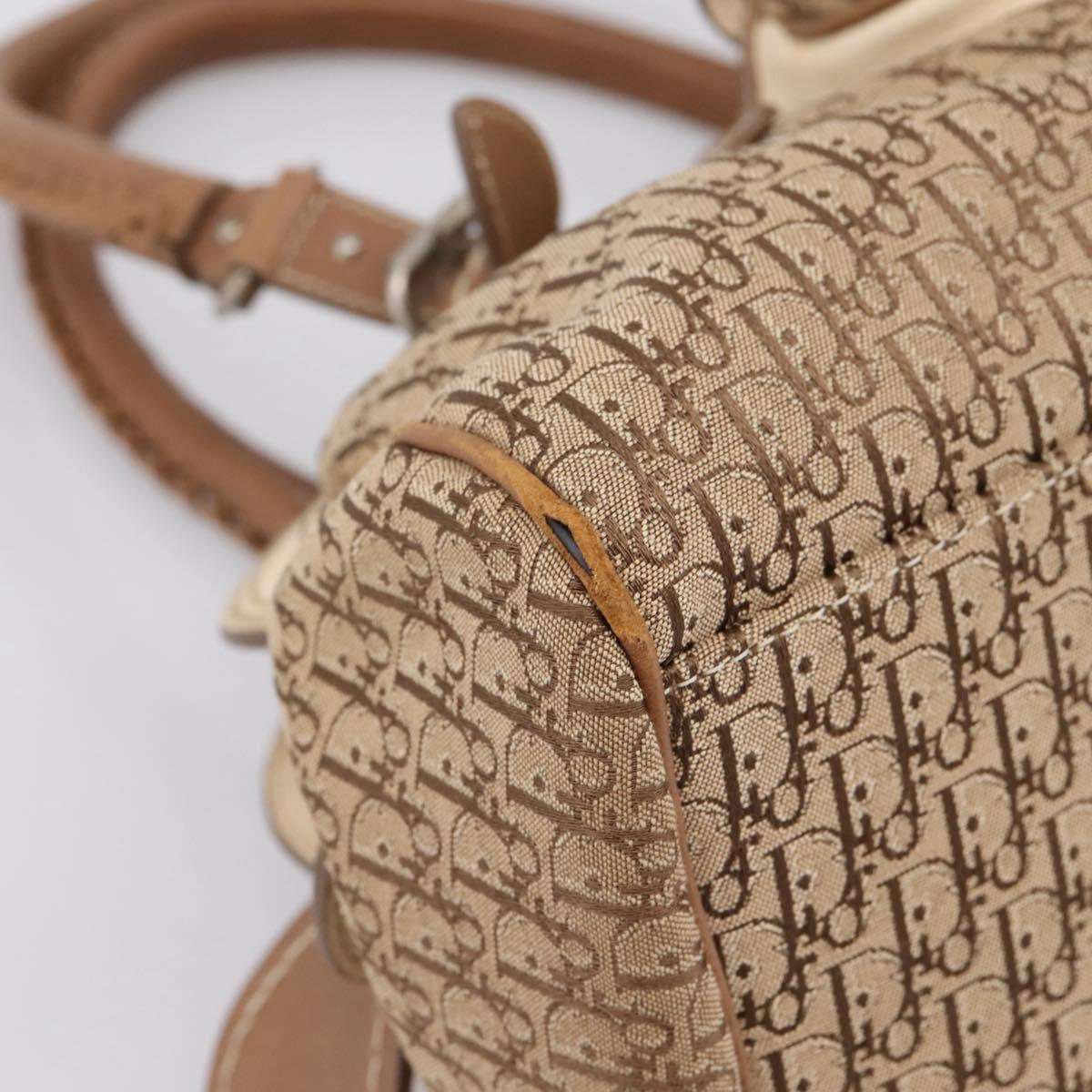 Christian Dior Street Chic Trotter Canvas Hand Bag Beige Silver Auth 201360A