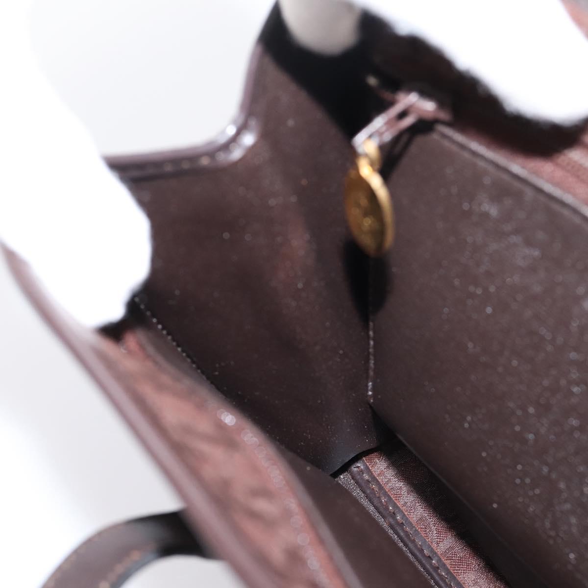 Christian Dior Trotter Canvas Hand Bag Brown Gold Auth 201513