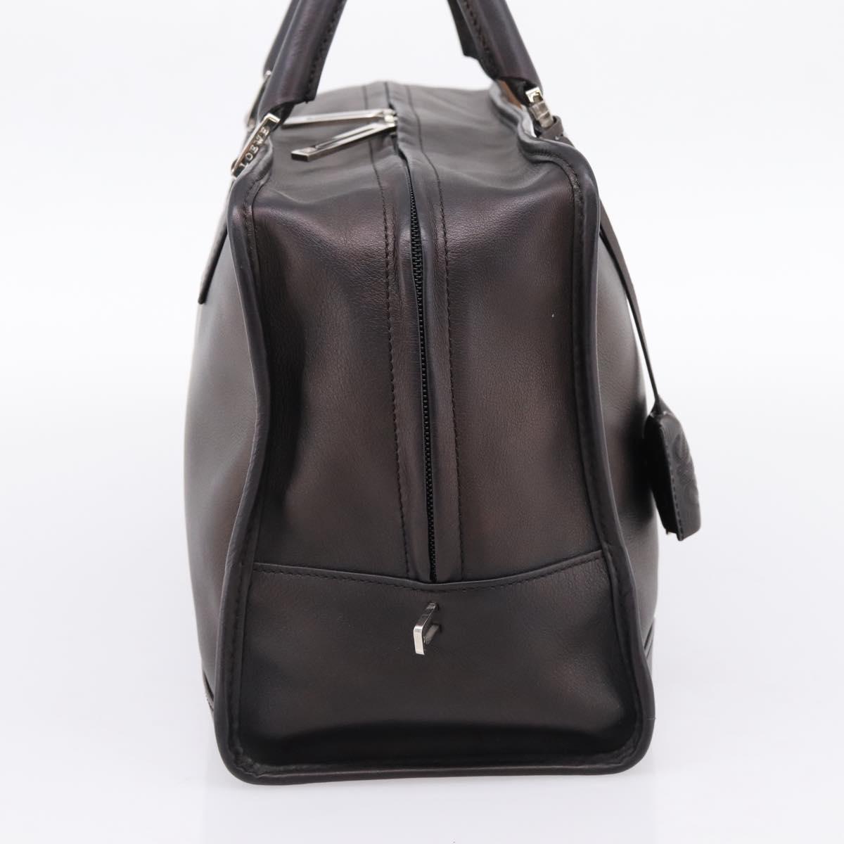 LOEWE Amazona 36 Hand Bag Leather Bronze Silver Auth 201931V