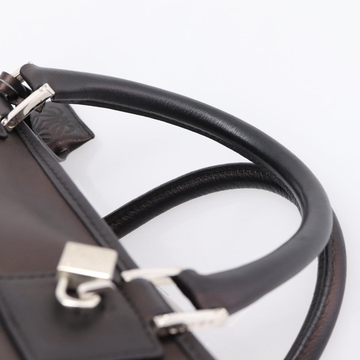 LOEWE Amazona 36 Hand Bag Leather Bronze Silver Auth 201931V