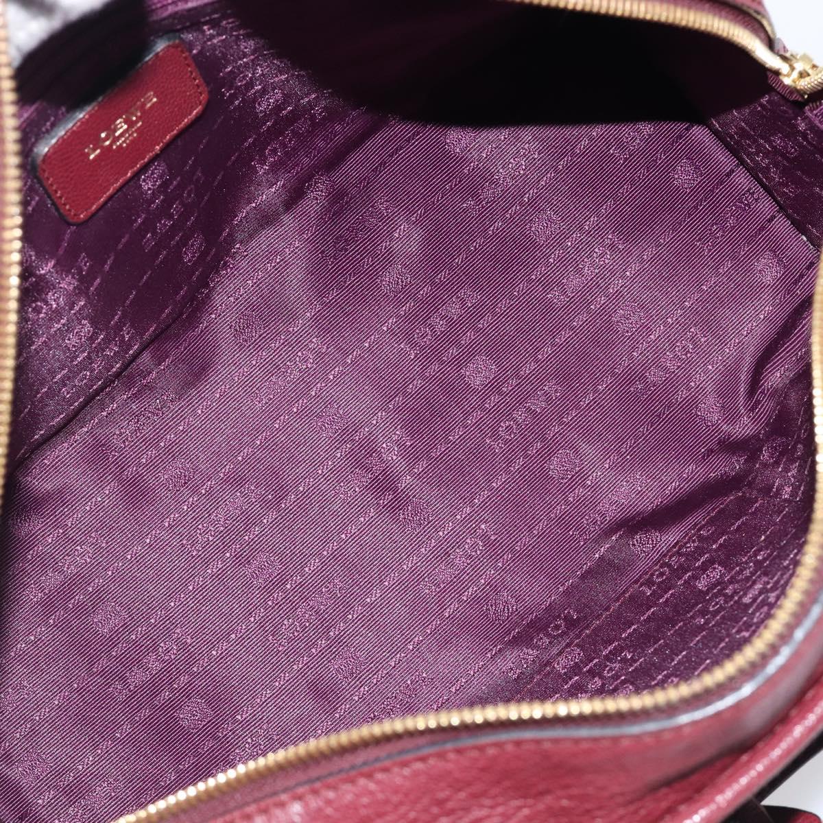 LOEWE Amazona 28 Hand Bag Leather Bordeaux Gold Auth 202297V