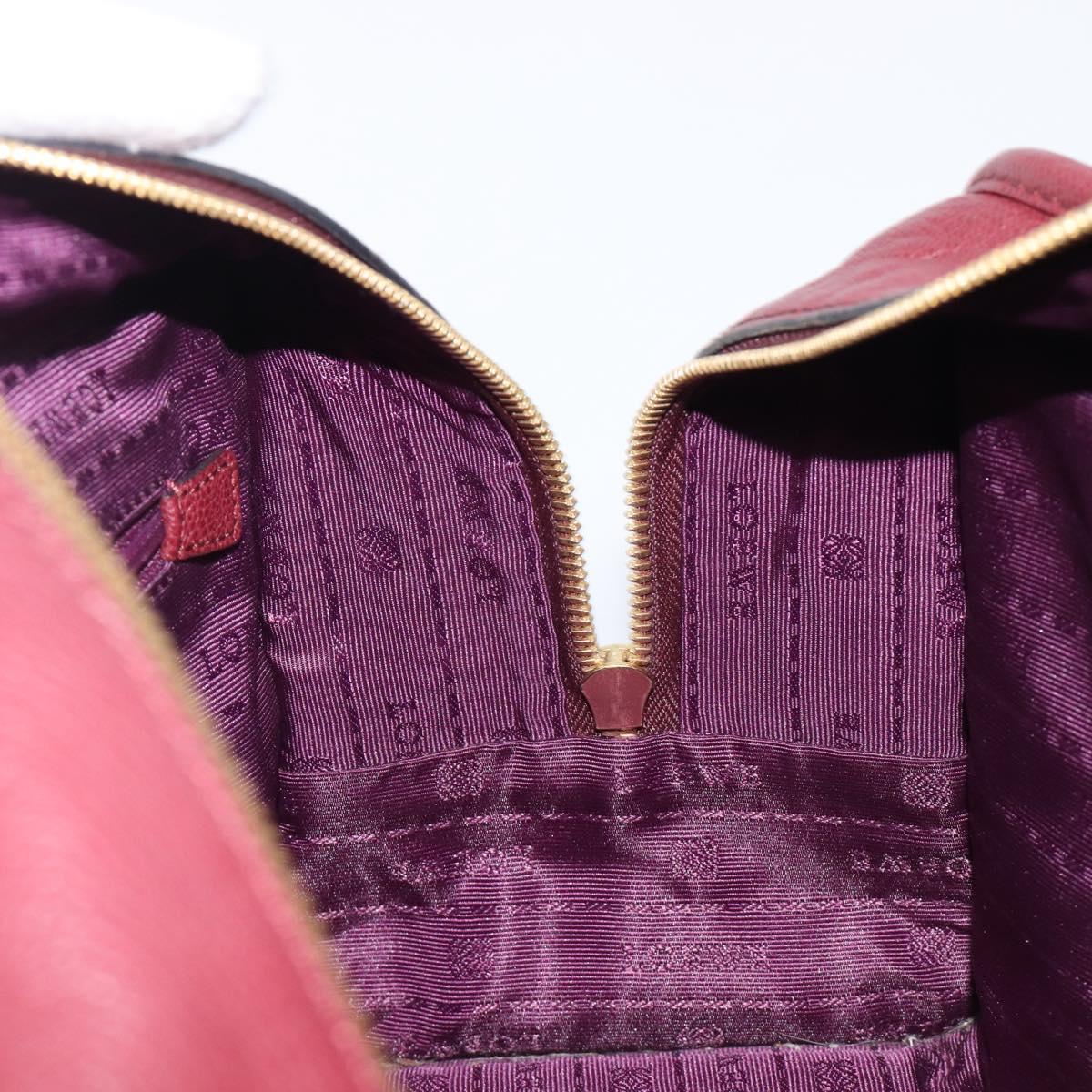 LOEWE Amazona 28 Hand Bag Leather Bordeaux Gold Auth 202297V