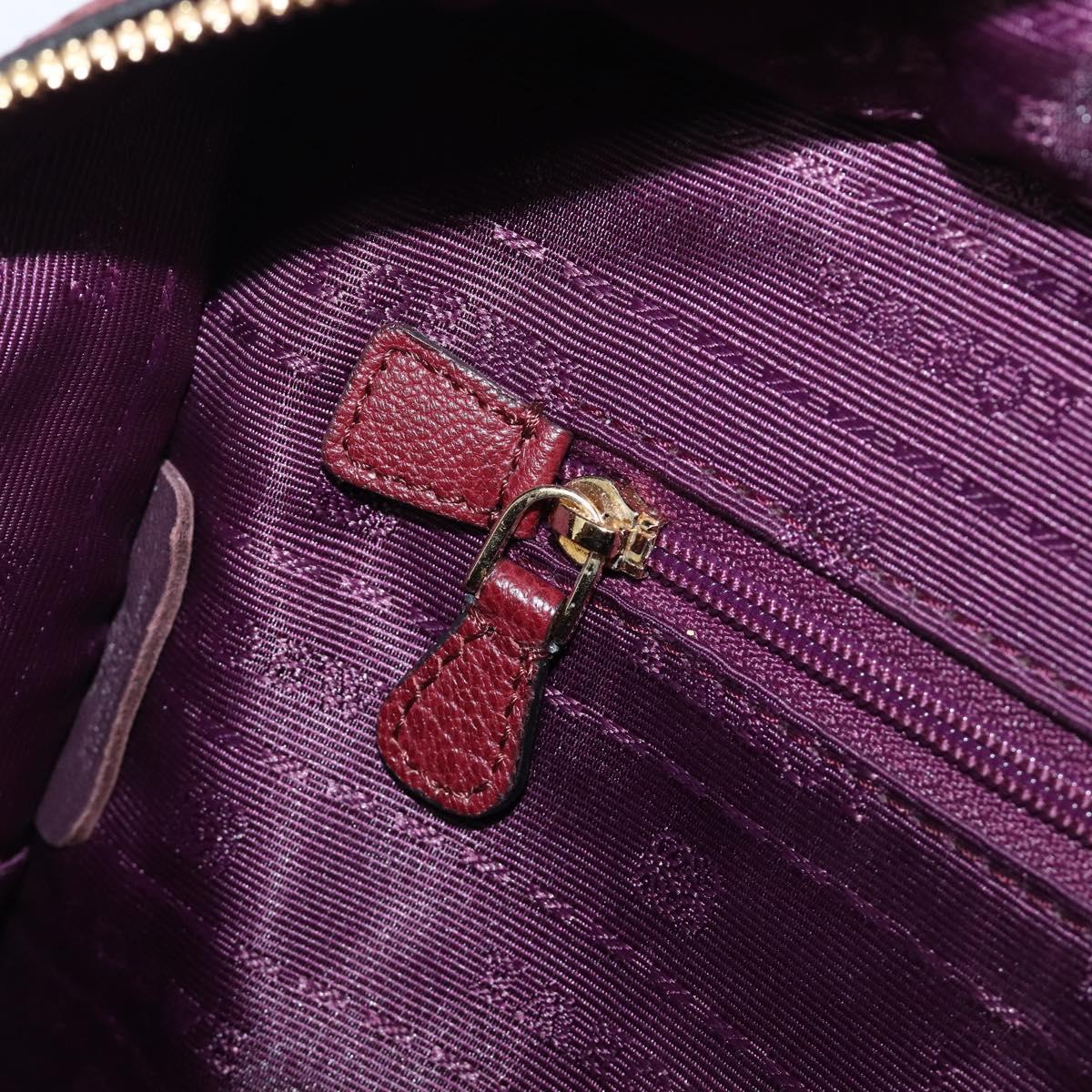 LOEWE Amazona 28 Hand Bag Leather Bordeaux Gold Auth 202297V