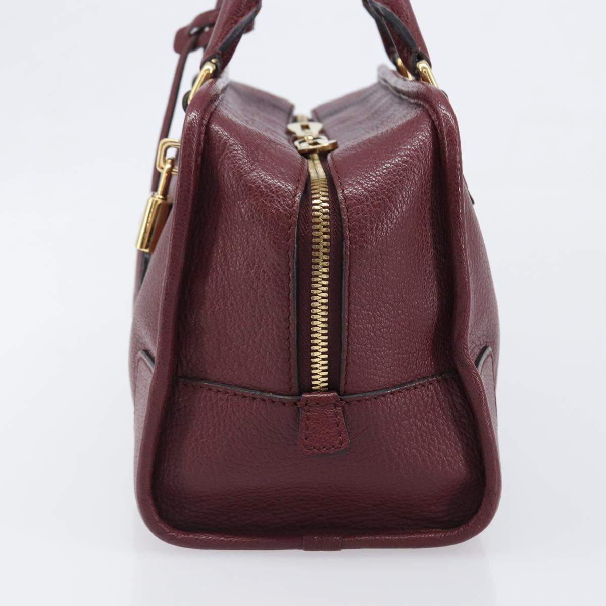LOEWE Amazona 28 Hand Bag Leather Bordeaux Gold Auth 202297V