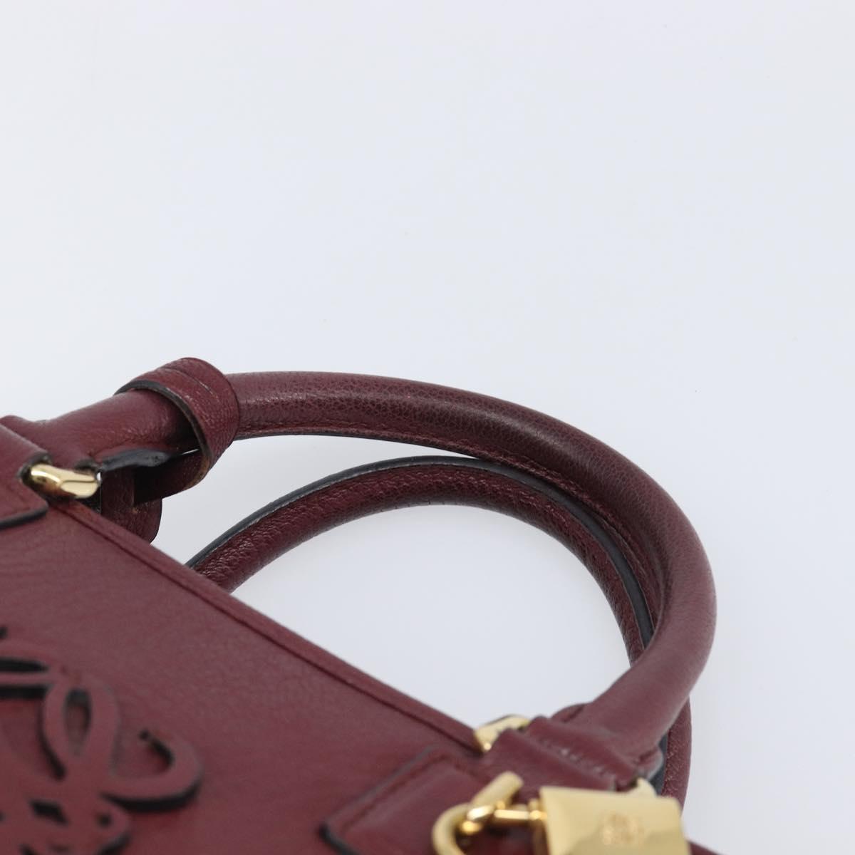 LOEWE Amazona 28 Hand Bag Leather Bordeaux Gold Auth 202297V