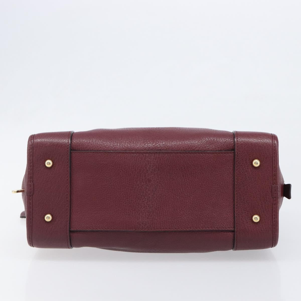 LOEWE Amazona 28 Hand Bag Leather Bordeaux Gold Auth 202297V