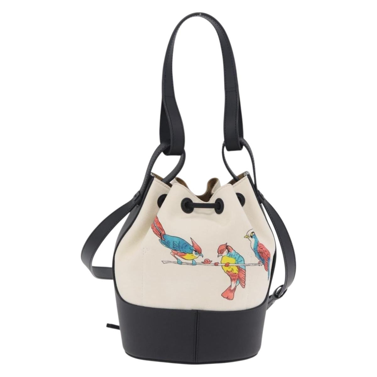 LOEWE Paula's Ibiza Collaboration Bag Canvas 2way Ivory Silver Auth 202301M