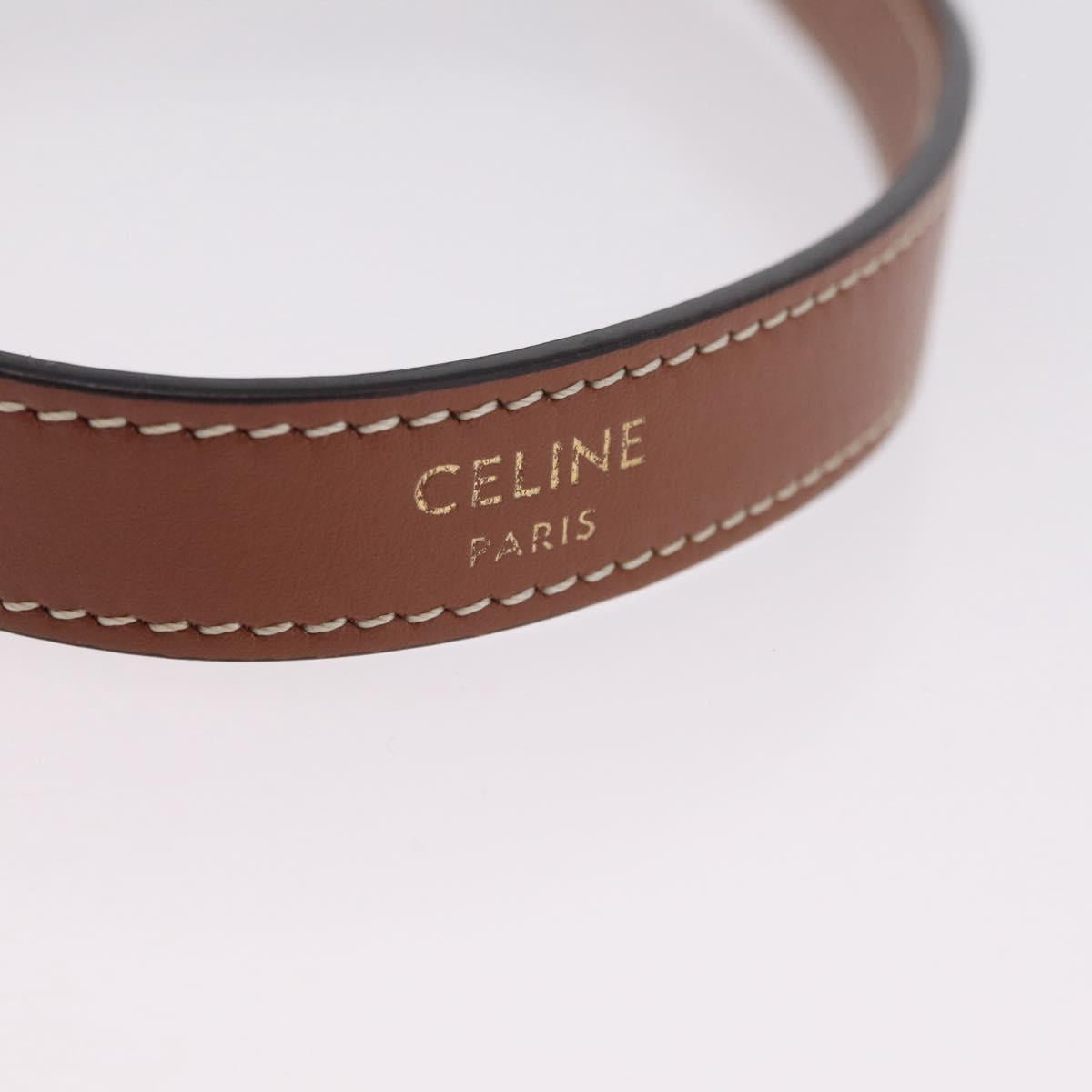 CELINE Triomphe Mini Ava Pouch PVC Black Gold Auth 202524M
