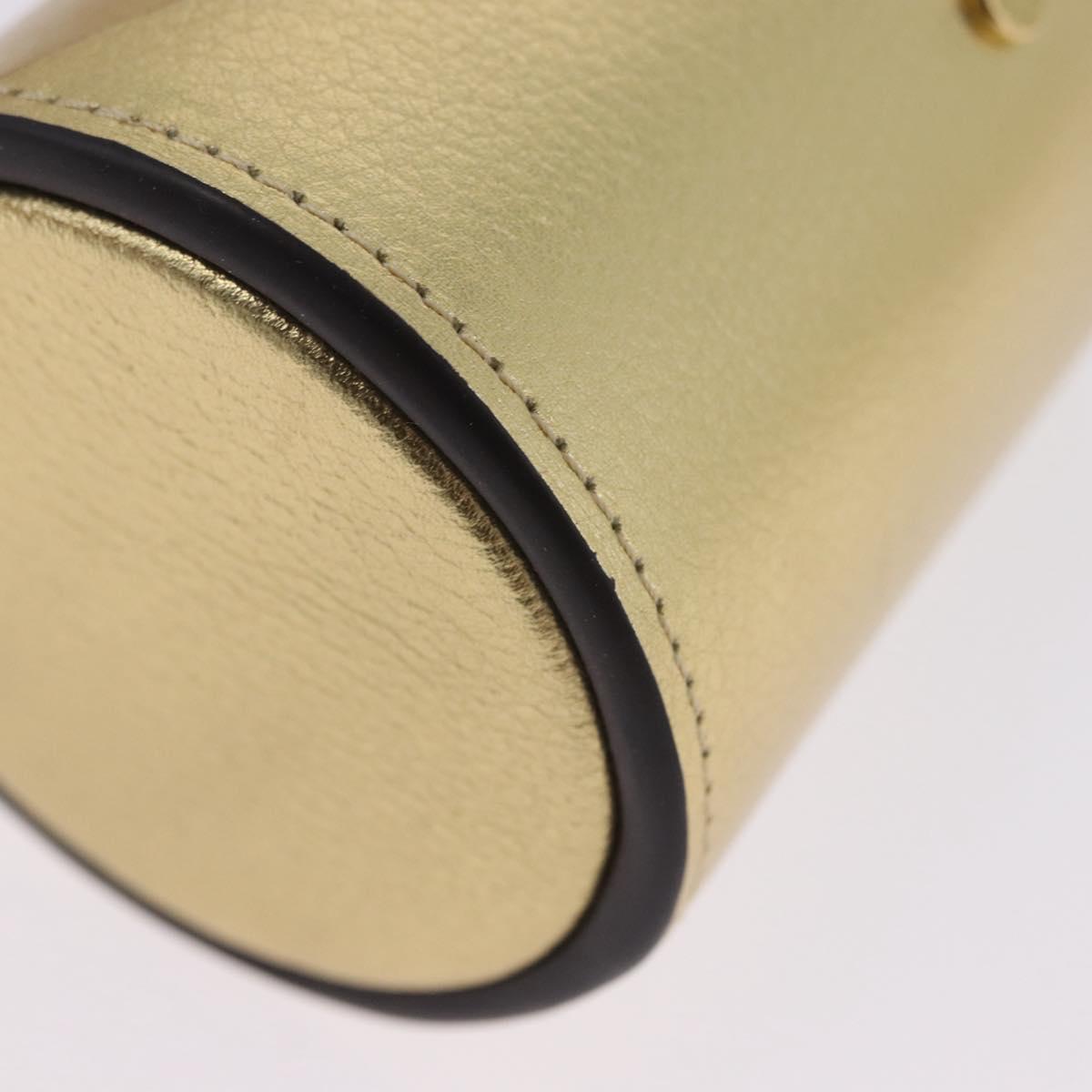 LOUIS VUITTON Monogram Pocrayon Gaston Pen Case Gold LV Auth 202723A
