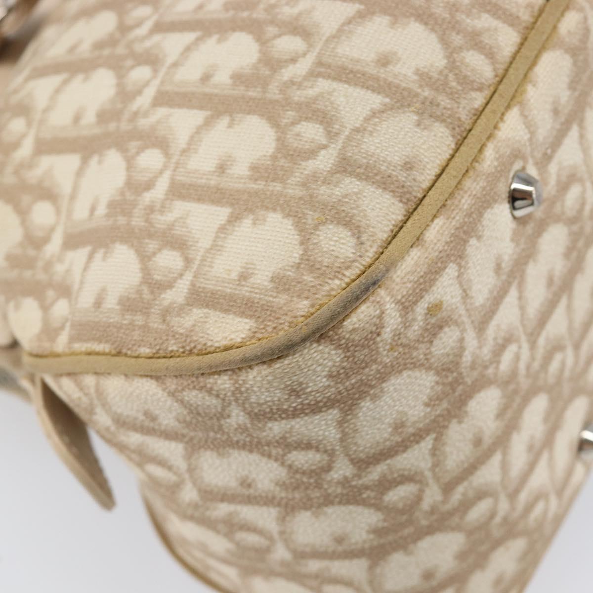 Christian Dior Trotter Canvas Romantic Hand Bag PVC Beige Silver Auth 202956