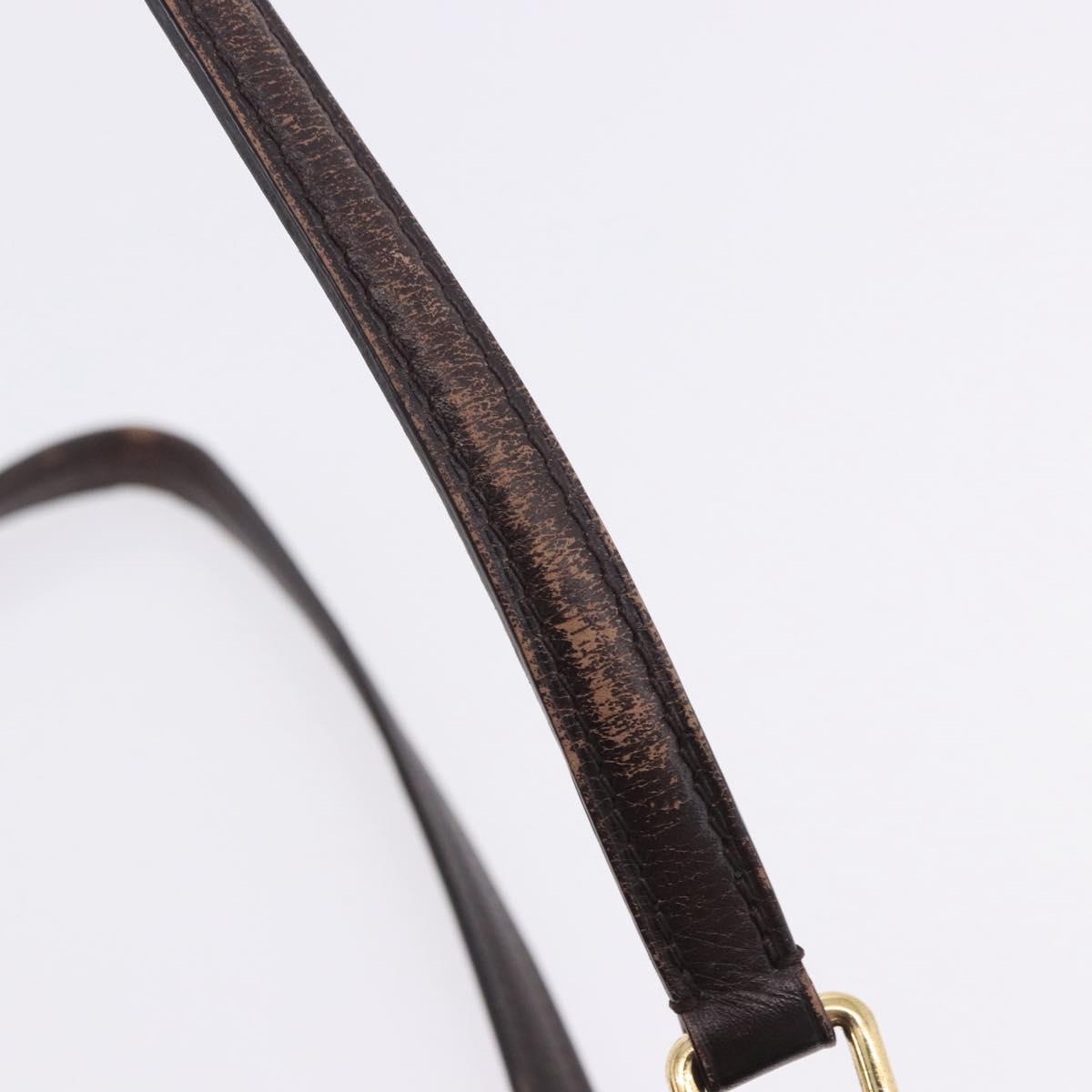 LOUIS VUITTON Monogram Idylle Ballad PM Tote Bag Ebene M40573 LV Auth 203069