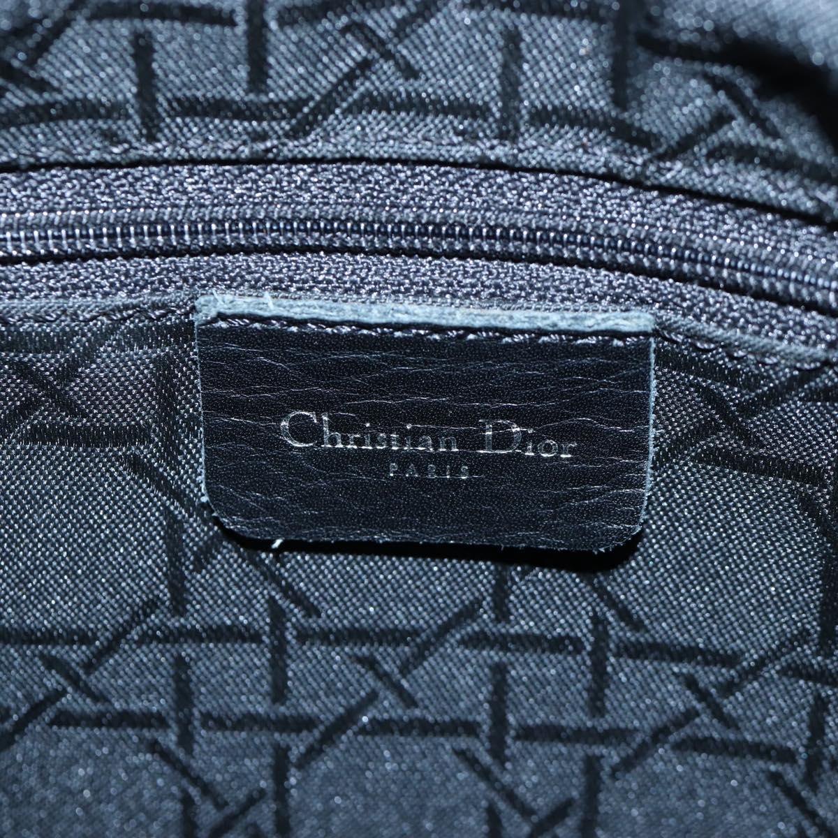 Christian Dior Canage Canage Hand Bag Nylon 2way Beige Silver Auth 203210V