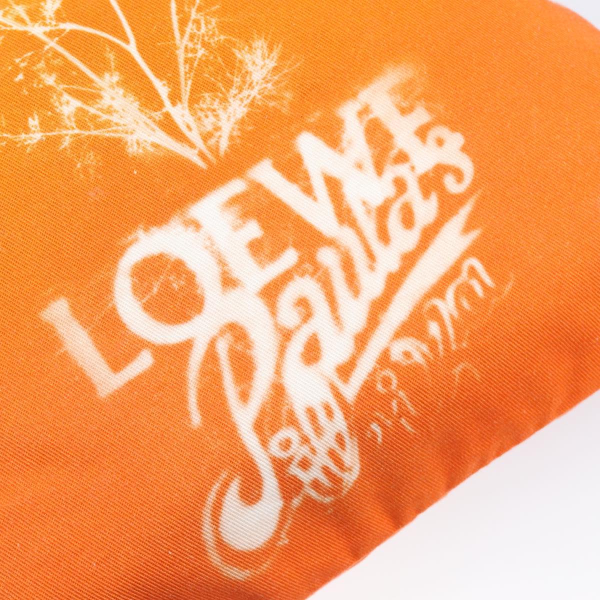 LOEWE Parauzui Visa Collaboration Purse Pouch Canvas Orange Auth 203609