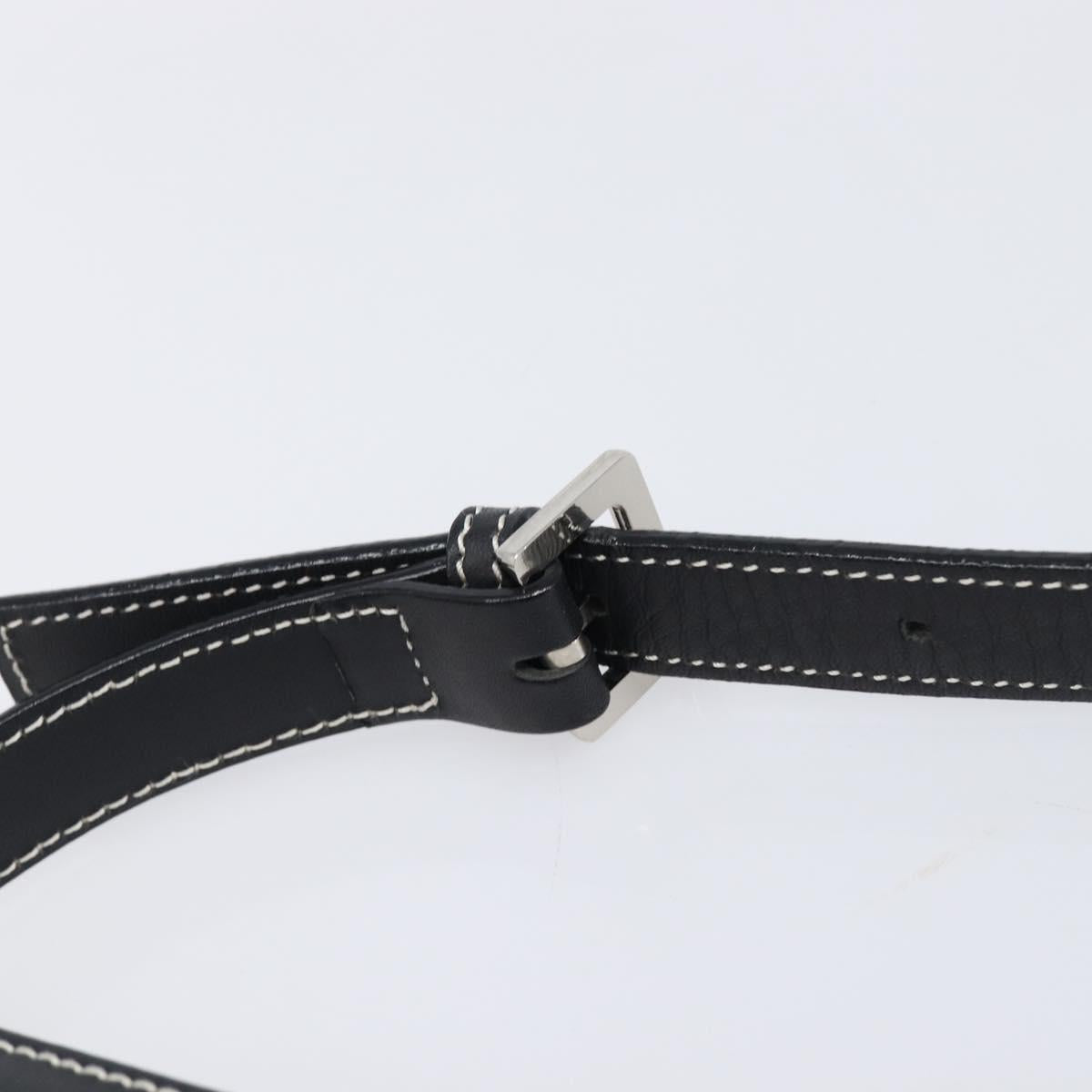 BURBERRY Shoulder Bag Canvas Gray Silver Auth 203686A