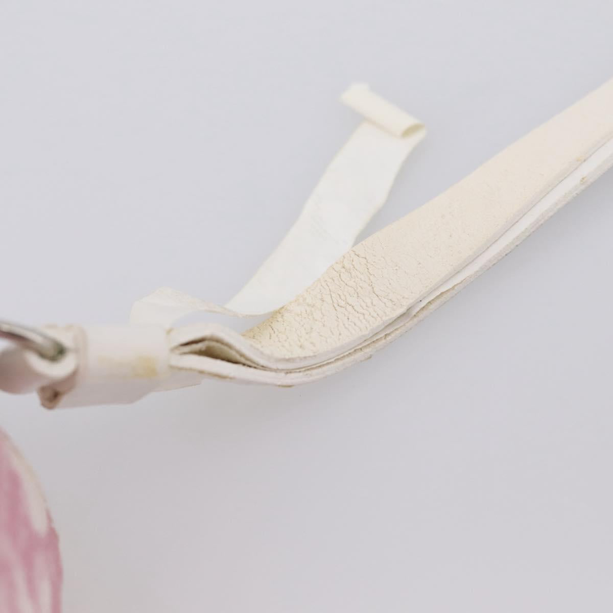 Christian Dior Trotter Canvas Pouch PVC Pink Silver Auth 203879