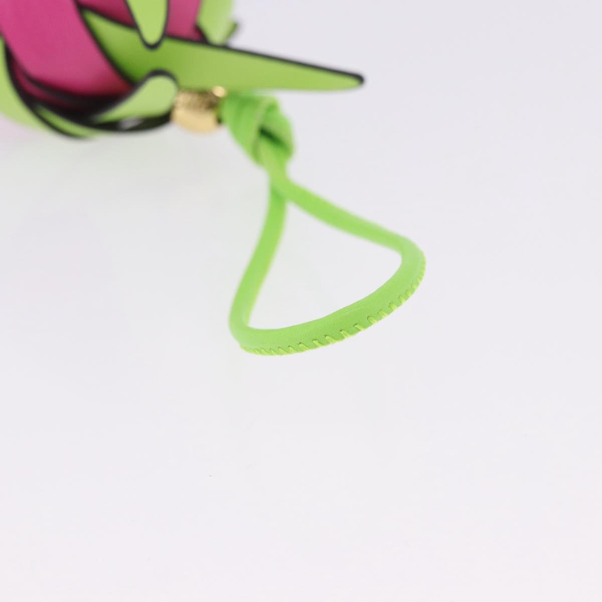 LOEWE Dragon Fruit Charm Leather Pink Gold Auth 204060M
