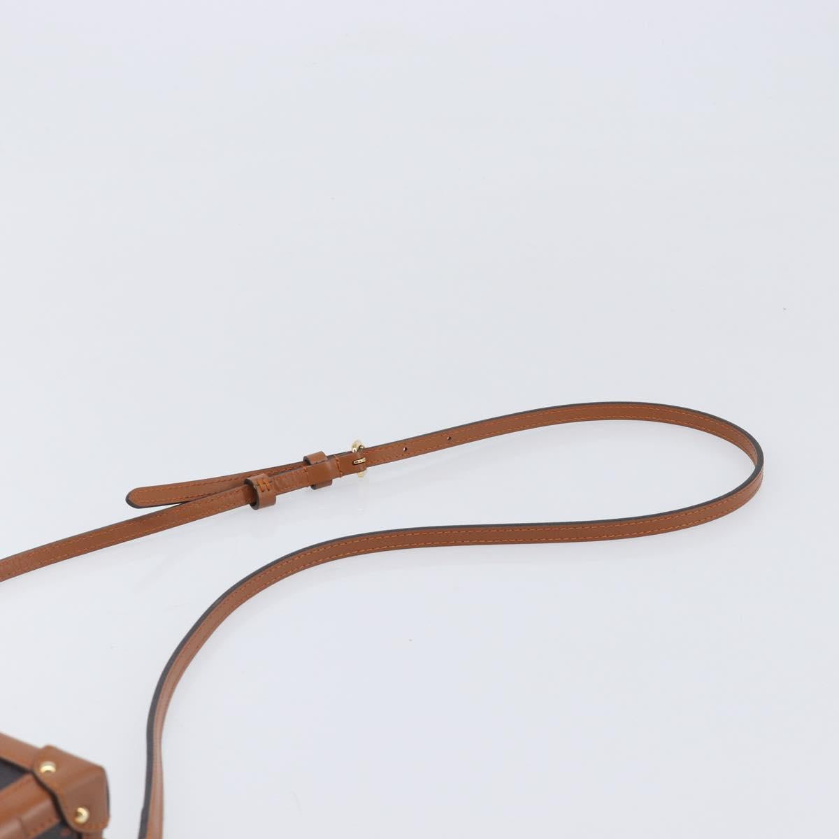 LOUIS VUITTON Catgram Petite Mar Shoulder Bag M44407 LV Auth 204123SM