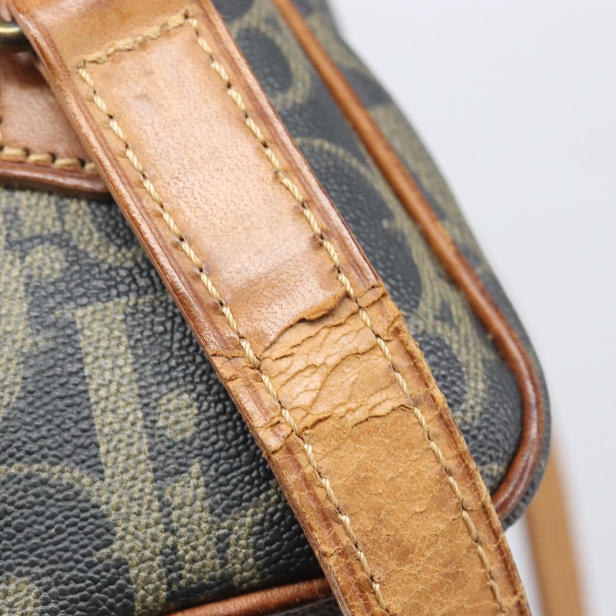 Christian Dior Trotter Canvas Shoulder Bag PVC Green Gold Auth 204234
