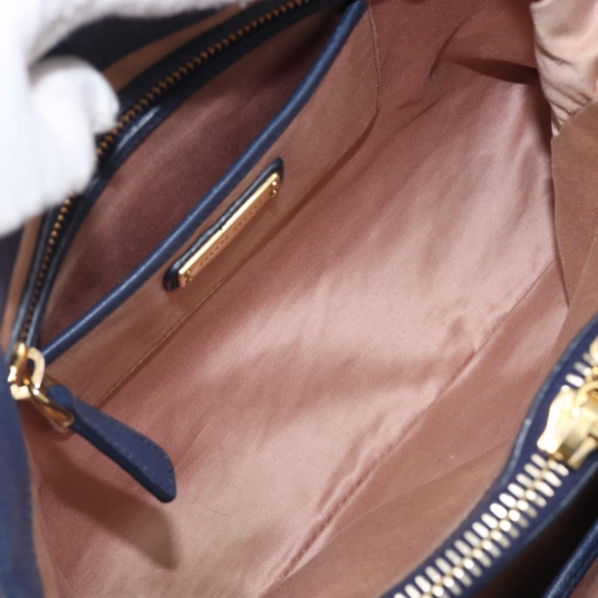 Miu Miu Hand Bag Vittero Dino Leather Blue Gold Auth 204405