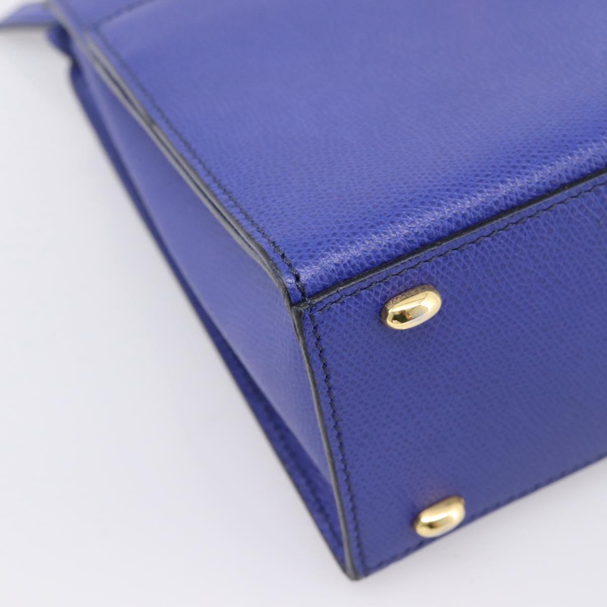 CELINE Hand Bag Leather Blue Gold Auth 204415A