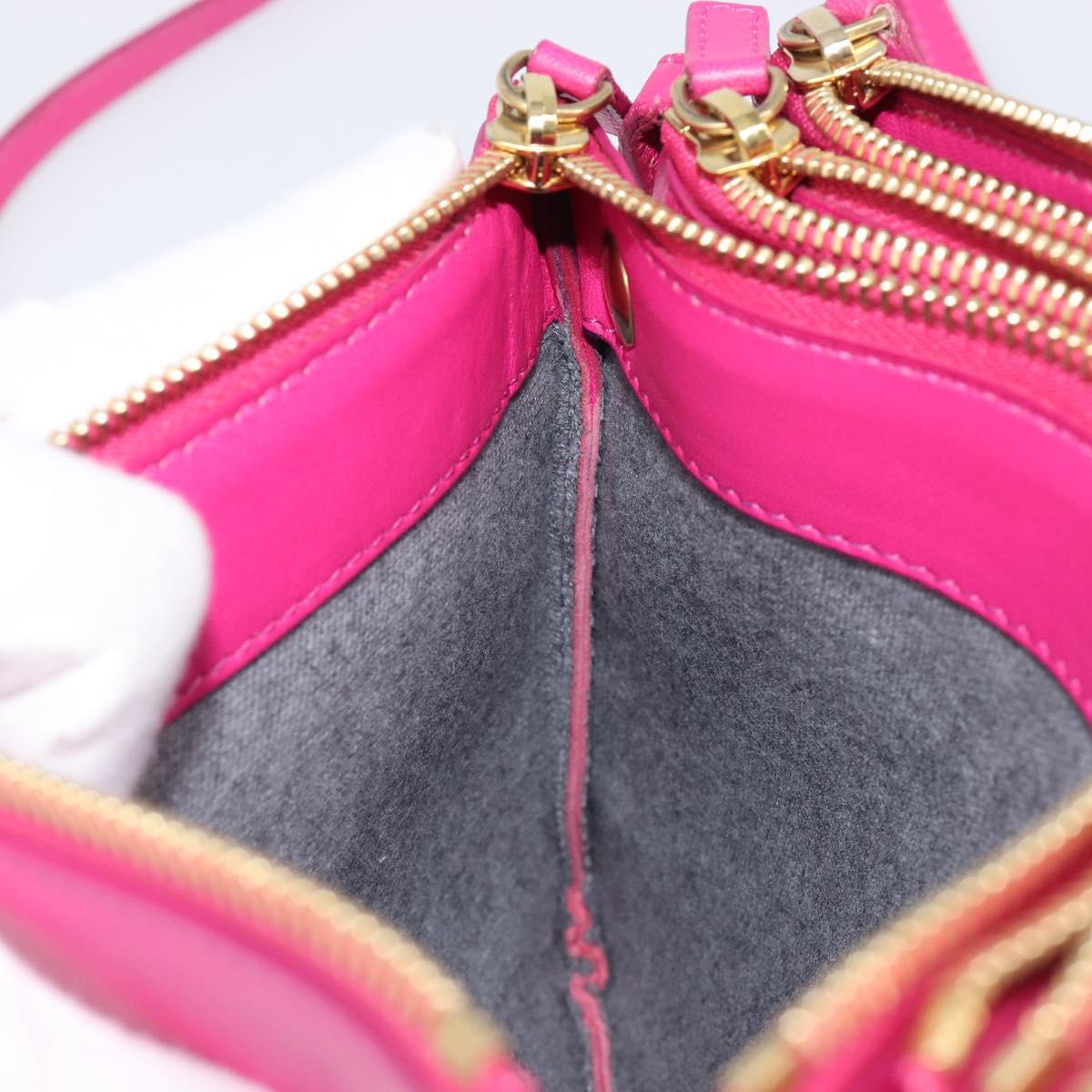 CELINE Trio Shoulder Bag Leather Pink Gold Tone Auth 204655A
