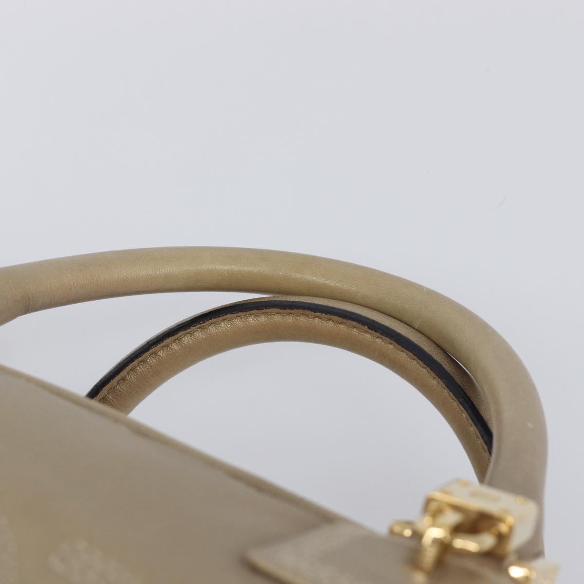 LOEWE Amazona 35 Hand Bag Leather Gold Auth 204893A
