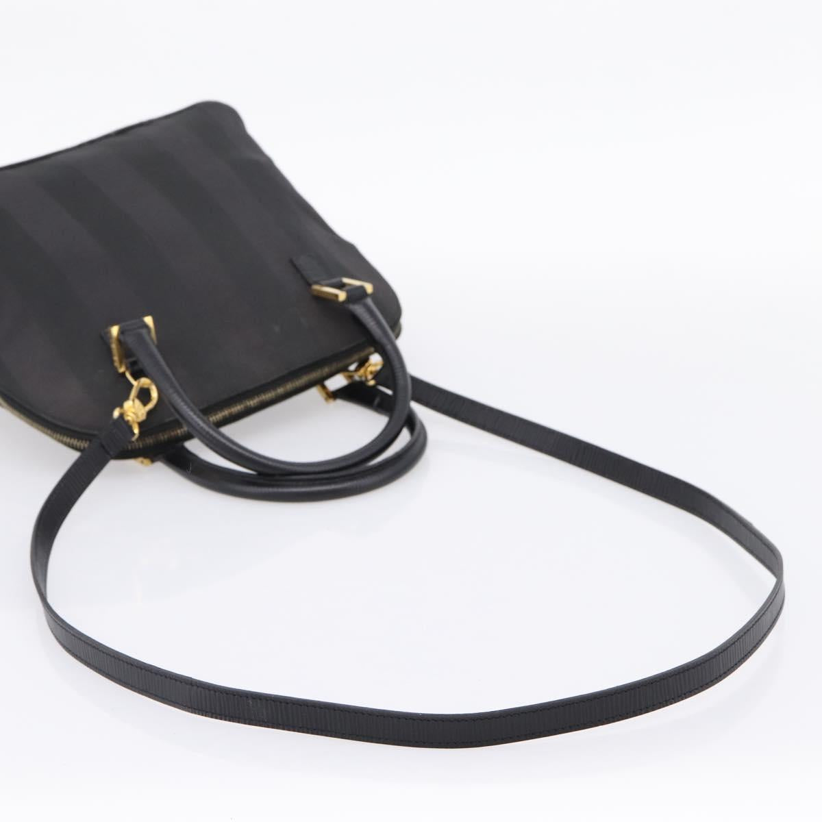 FENDI Pecan Canvas Hand Bag 2way Black Gold Auth 205145