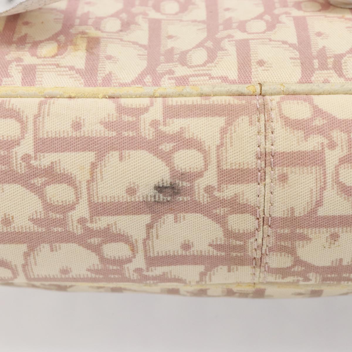 Christian Dior Trotter Canvas Shoulder Bag PVC Pink Silver Auth 205193