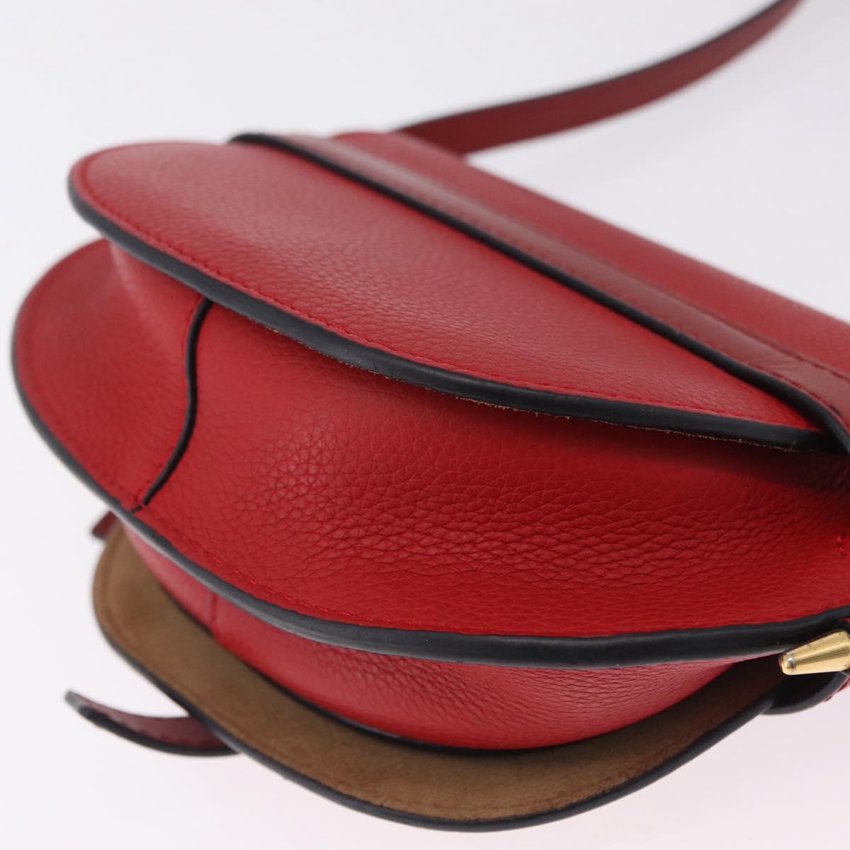 LOEWE Mini Gate Bag Shoulder Bag Leather Red Gold Auth 206501A