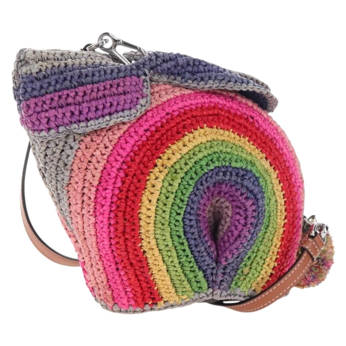 LOEWE Shoulder Bag Raffia Multicolor Silver Auth 207023SAM