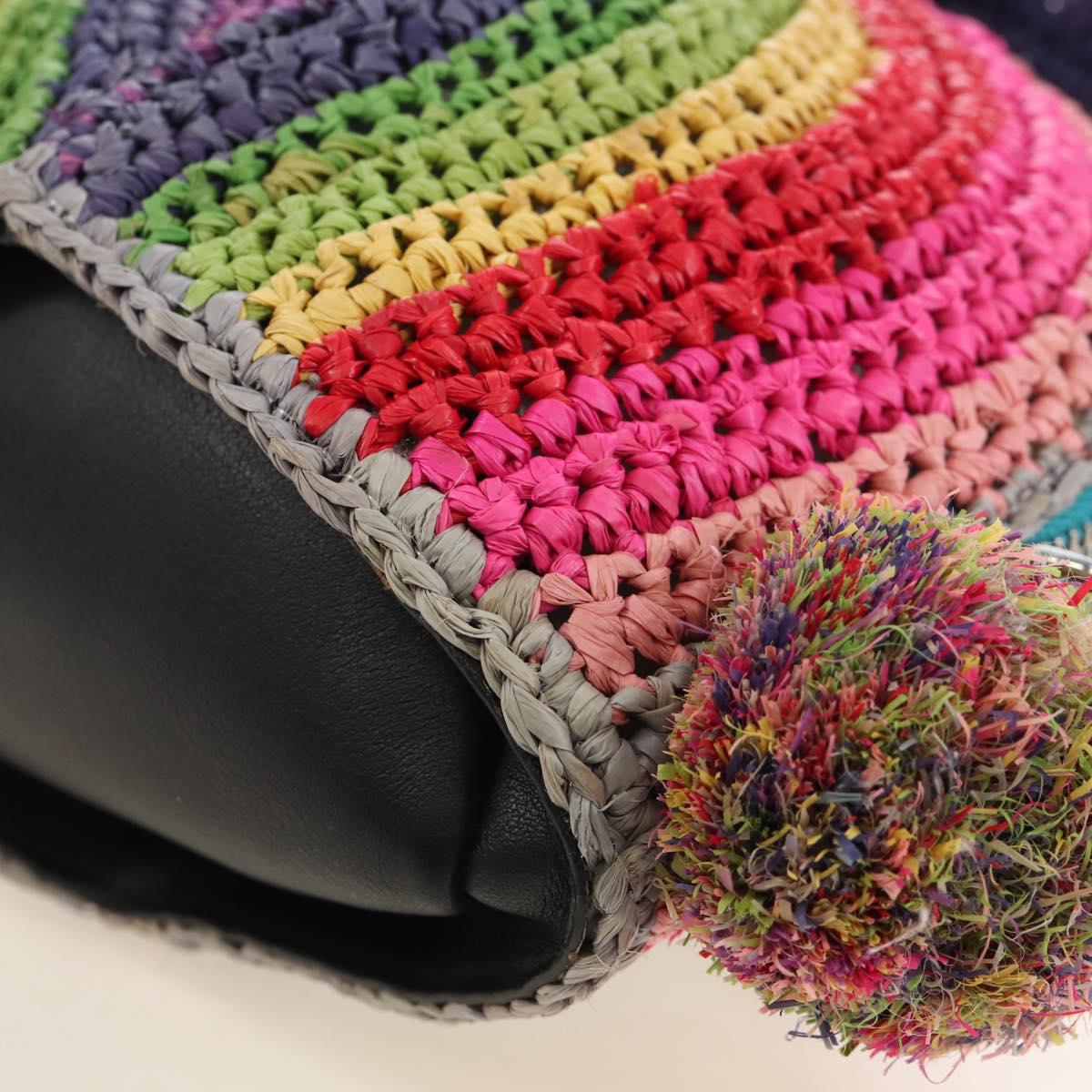 LOEWE Shoulder Bag Raffia Multicolor Silver Auth 207023SAM