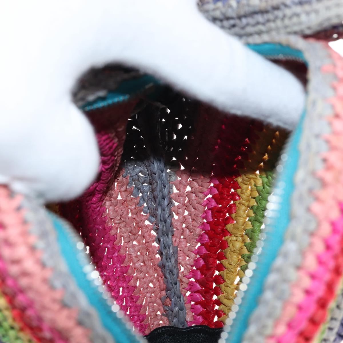 LOEWE Shoulder Bag Raffia Multicolor Silver Auth 207023SAM