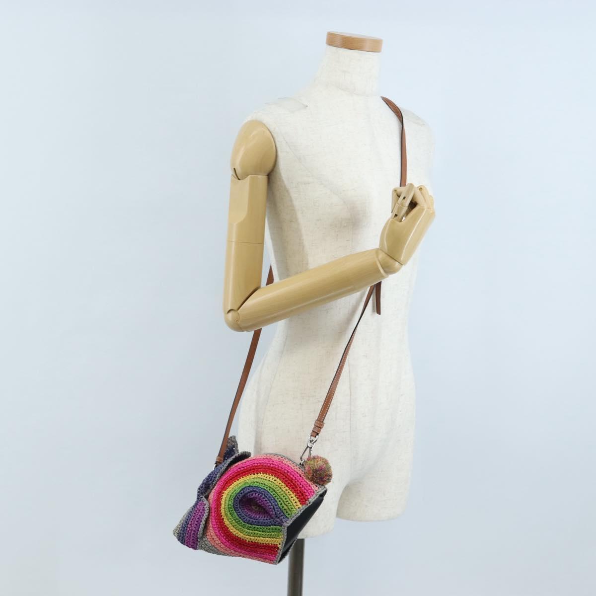 LOEWE Shoulder Bag Raffia Multicolor Silver Auth 207023SAM