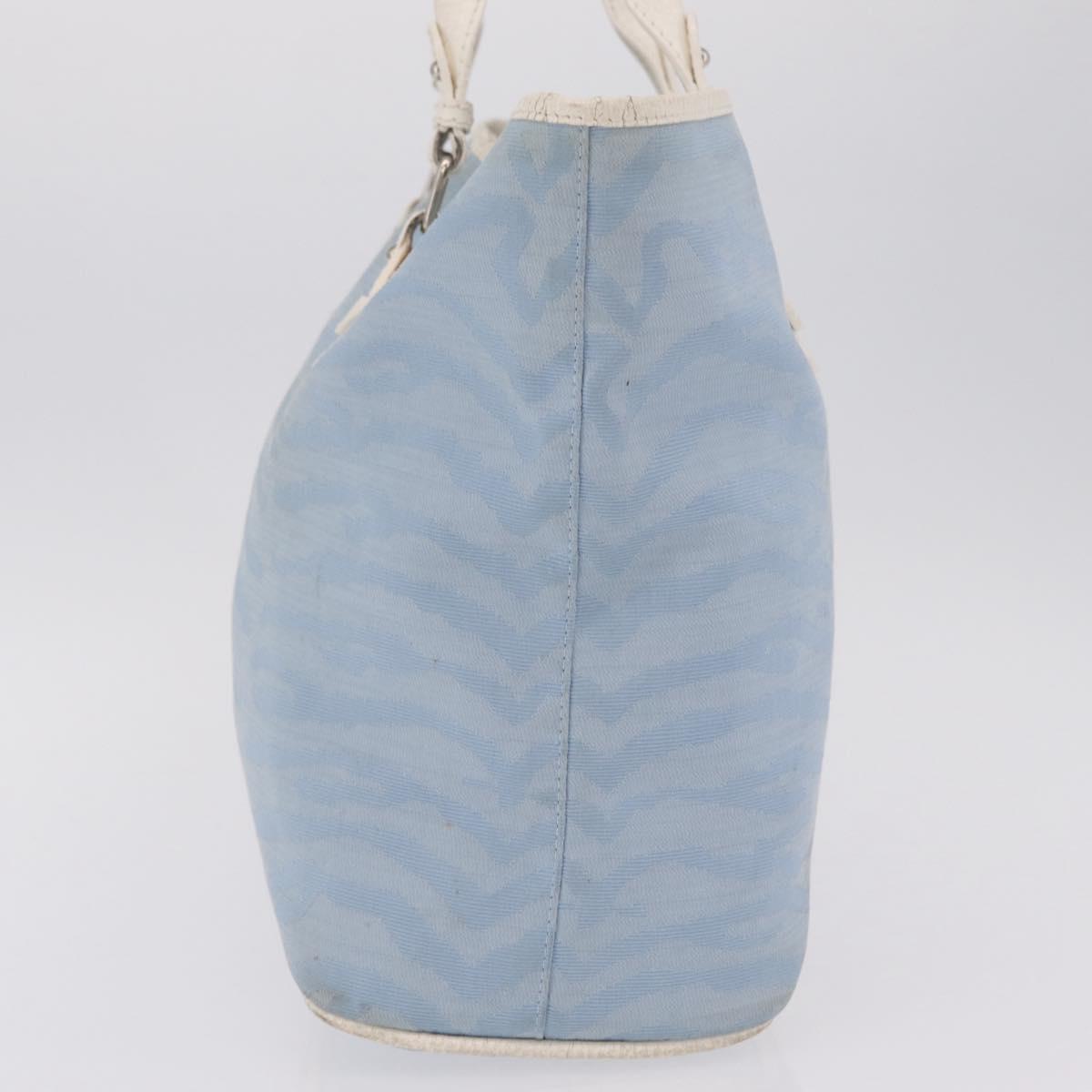 FENDI Tote Bag Canvas Light Blue Silver Auth 207089