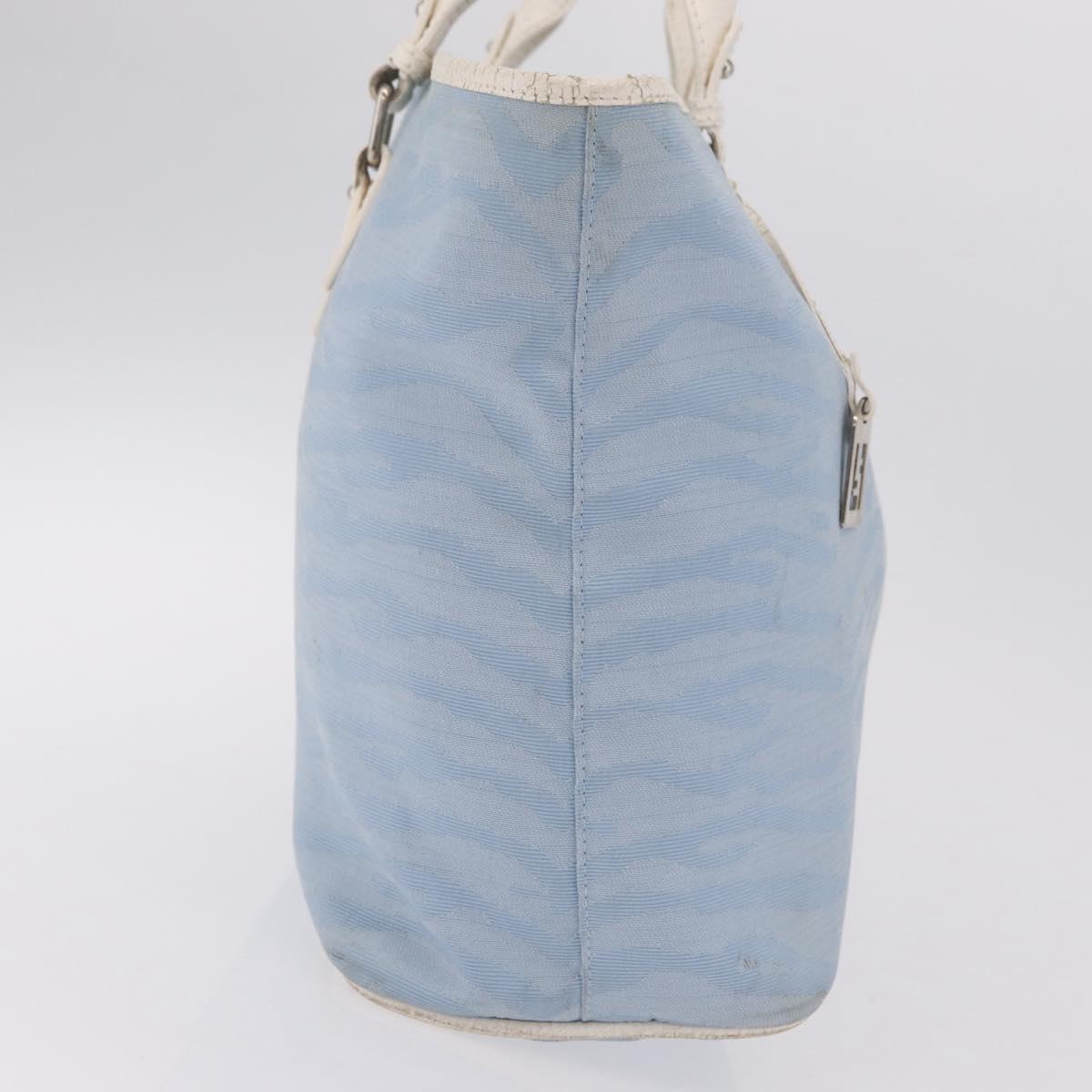 FENDI Tote Bag Canvas Light Blue Silver Auth 207089