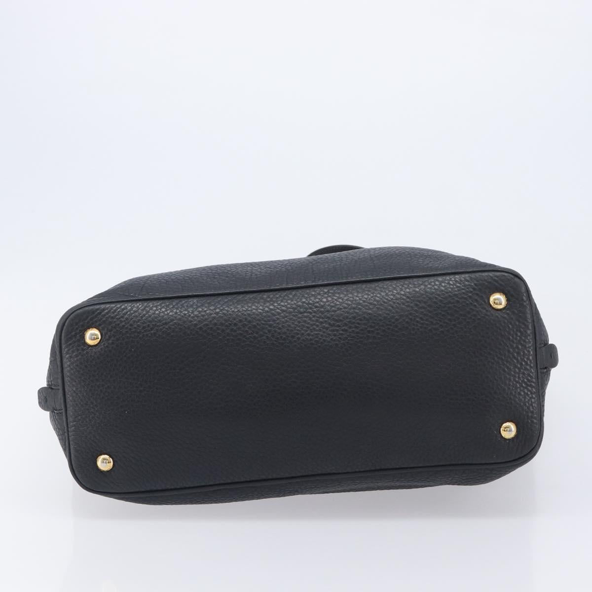 PRADA Hand Bag Vittero Dino Leather 2way Black Gold Auth 207171A