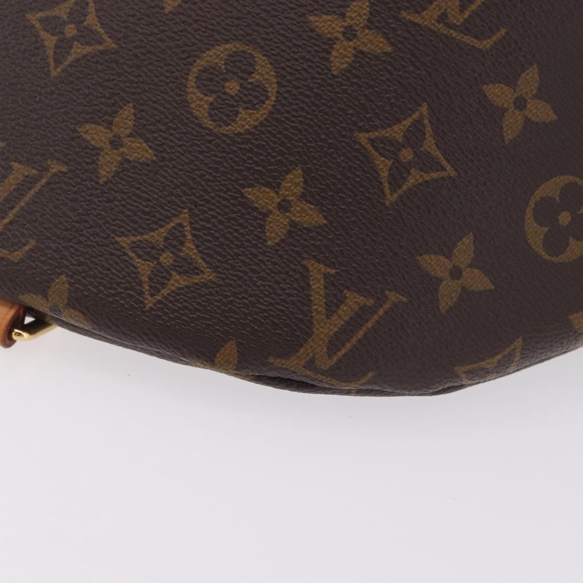 LOUIS VUITTON Monogram Bum Bag Shoulder Bag M43644 LV Auth 207310V