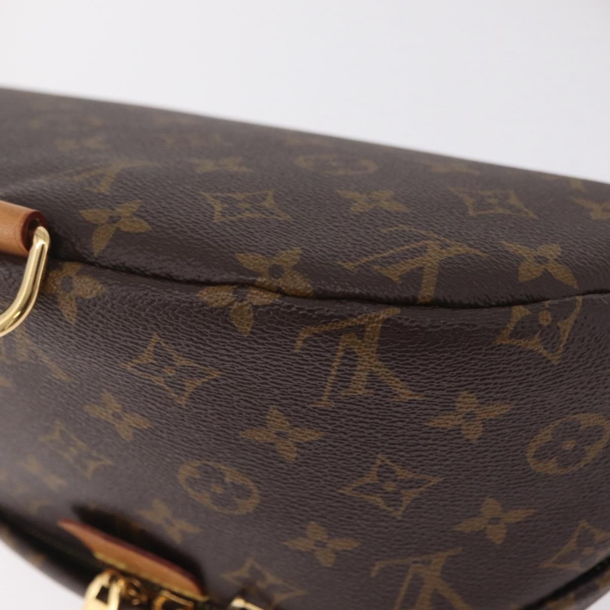 LOUIS VUITTON Monogram Bum Bag Shoulder Bag M43644 LV Auth 207310V