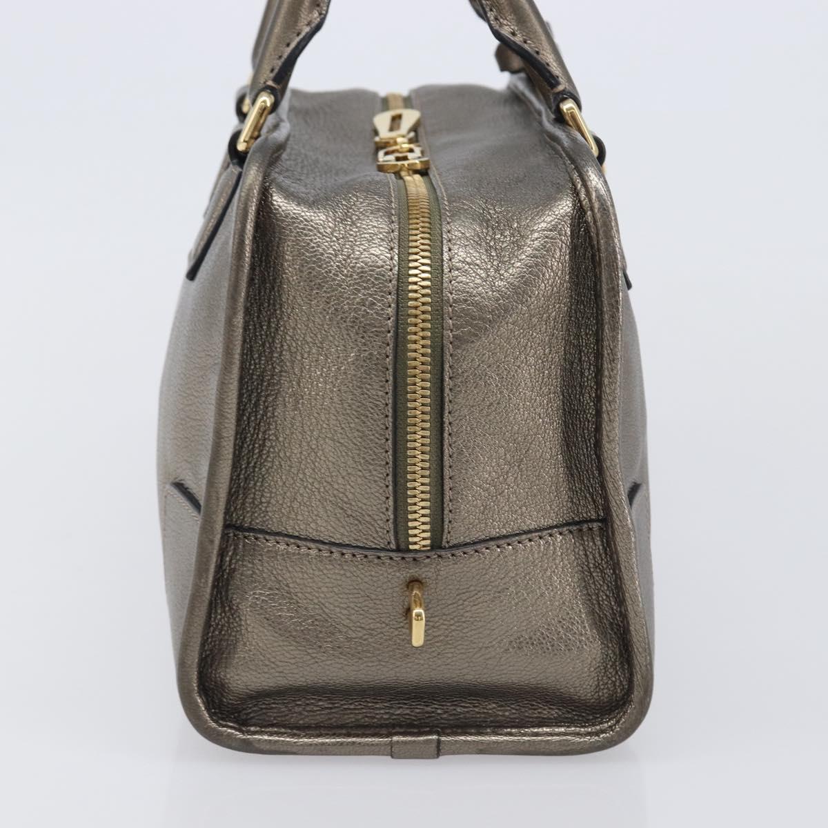 LOEWE Amazona 28 Hand Bag Leather Gold Auth 207475V