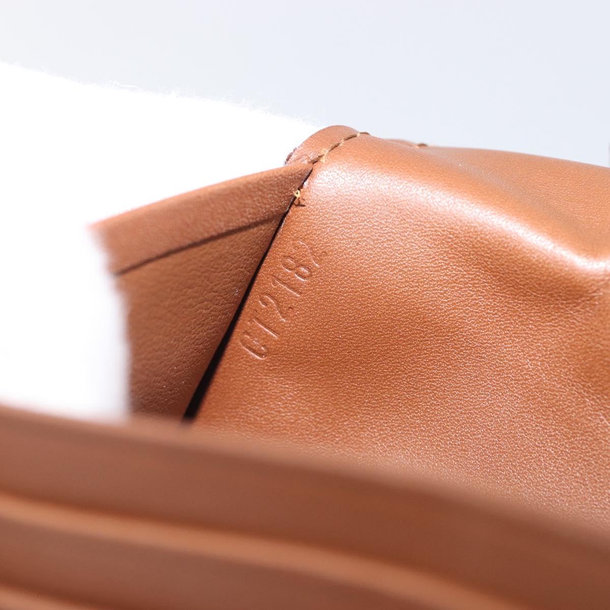 LOUIS VUITTON Portefeuille Braza Long Wallet Calf Skin Brown M61693 Auth 207485V