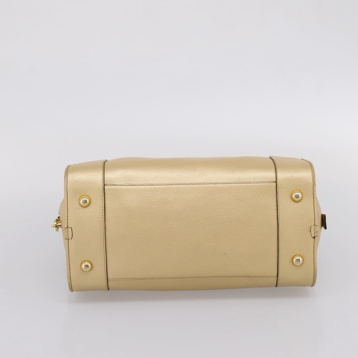 LOEWE Amazona 32 Hand Bag Leather Gold Auth 207798A