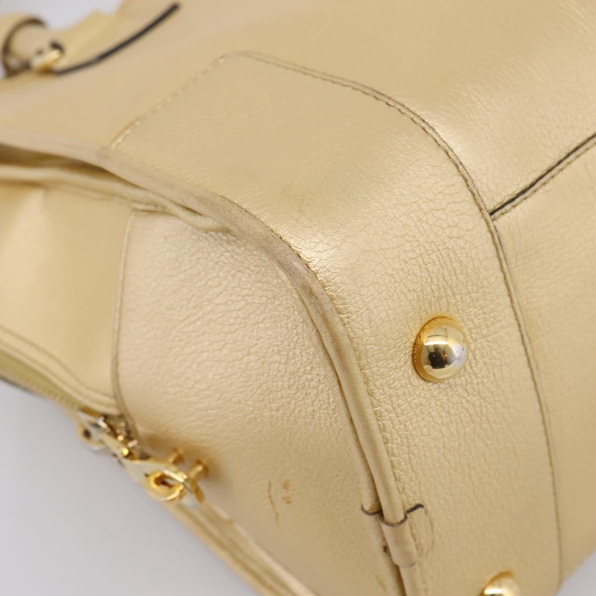 LOEWE Amazona 32 Hand Bag Leather Gold Auth 207798A